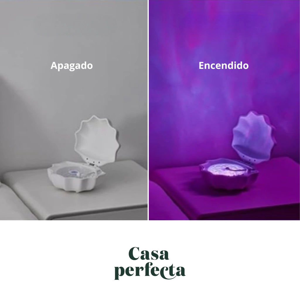 Lámpara Decorativa Shell Lamp | Luz Ambiental